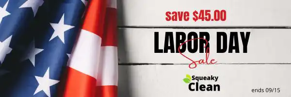 Labor Day Sale