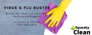 Virus and Flu Buster Service