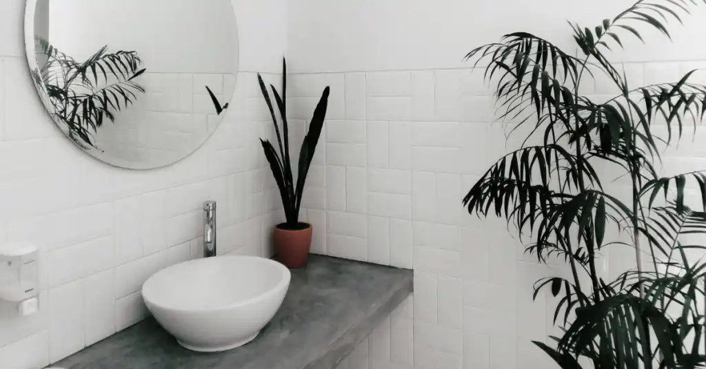 Ultimate Bathroom Cleaning