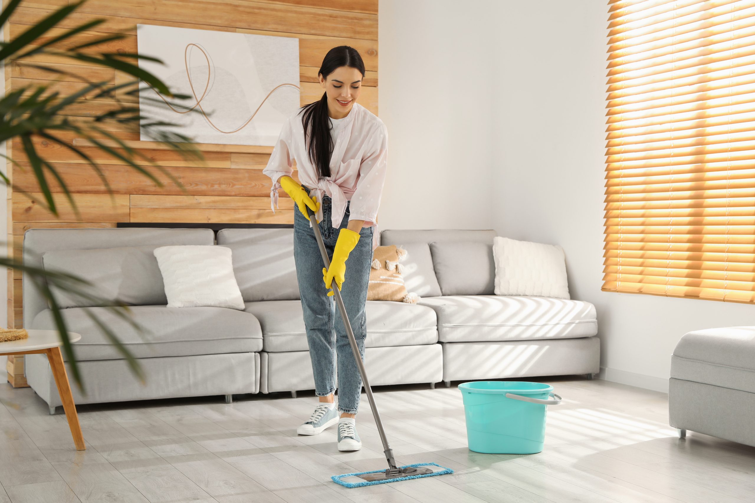 House Cleaning in Hampton, GA